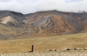 Le berger, Région du Ladakh en Inde